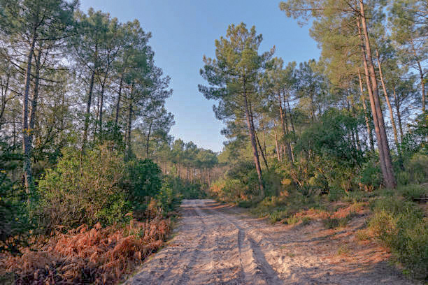 a visiter proche du camping la maiade a mimizan