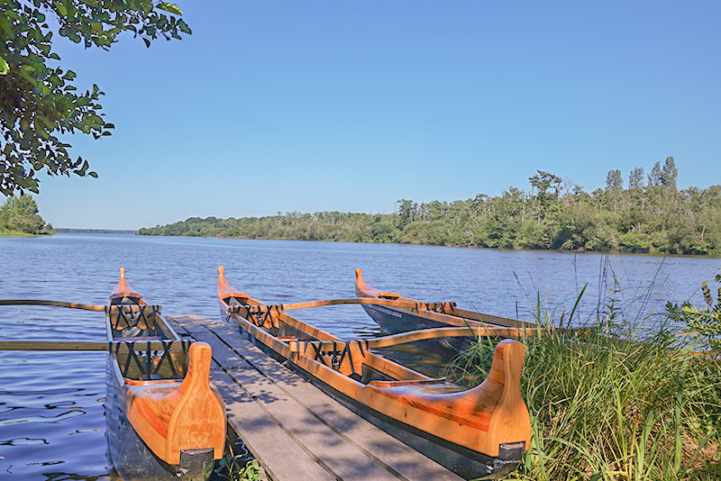 Lake Aureilhan