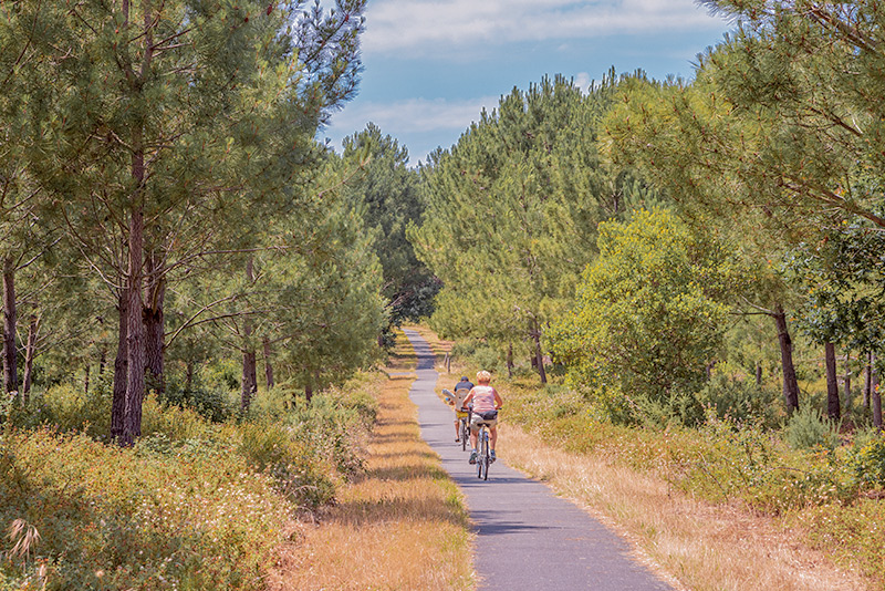 visiter les landes a velo 