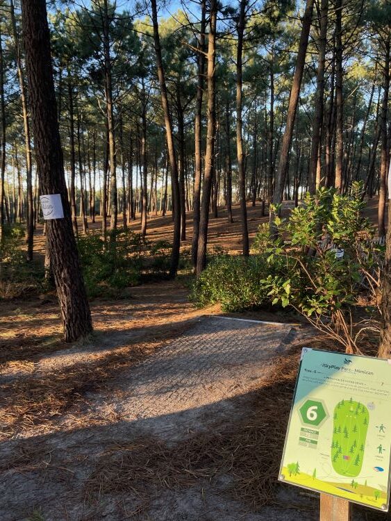 Disc Golf Mimizan dans la foret de pins 