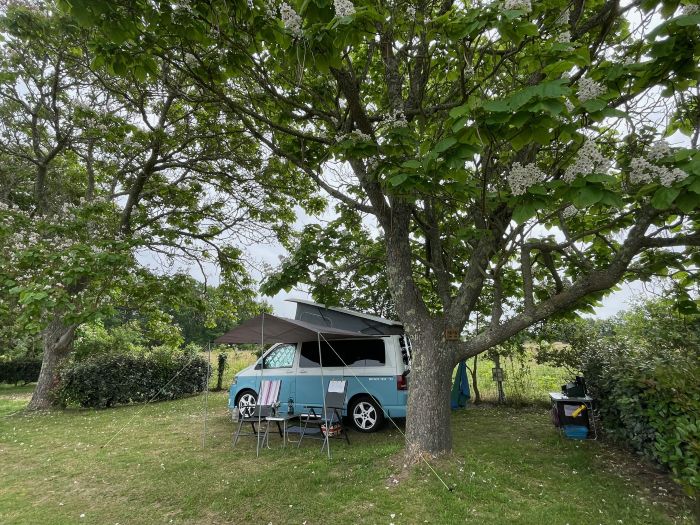 VAN VW RESIZE