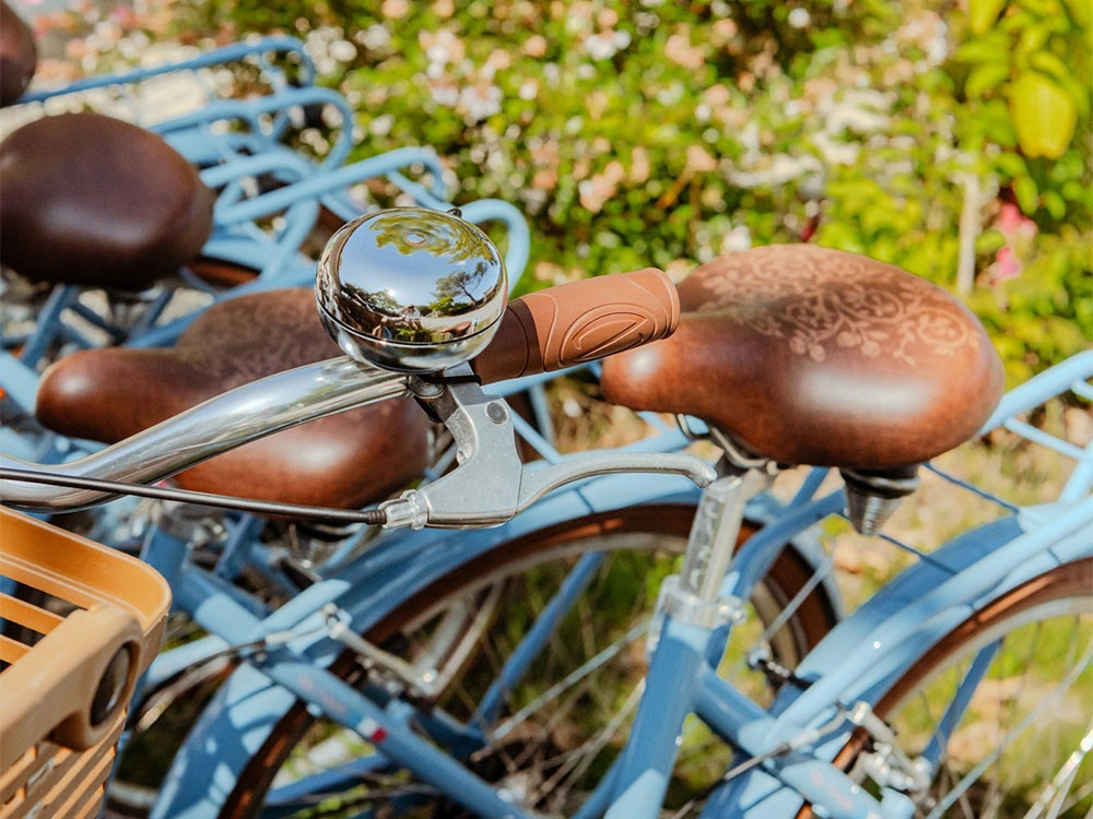 Home Vélo Camping Mimizan